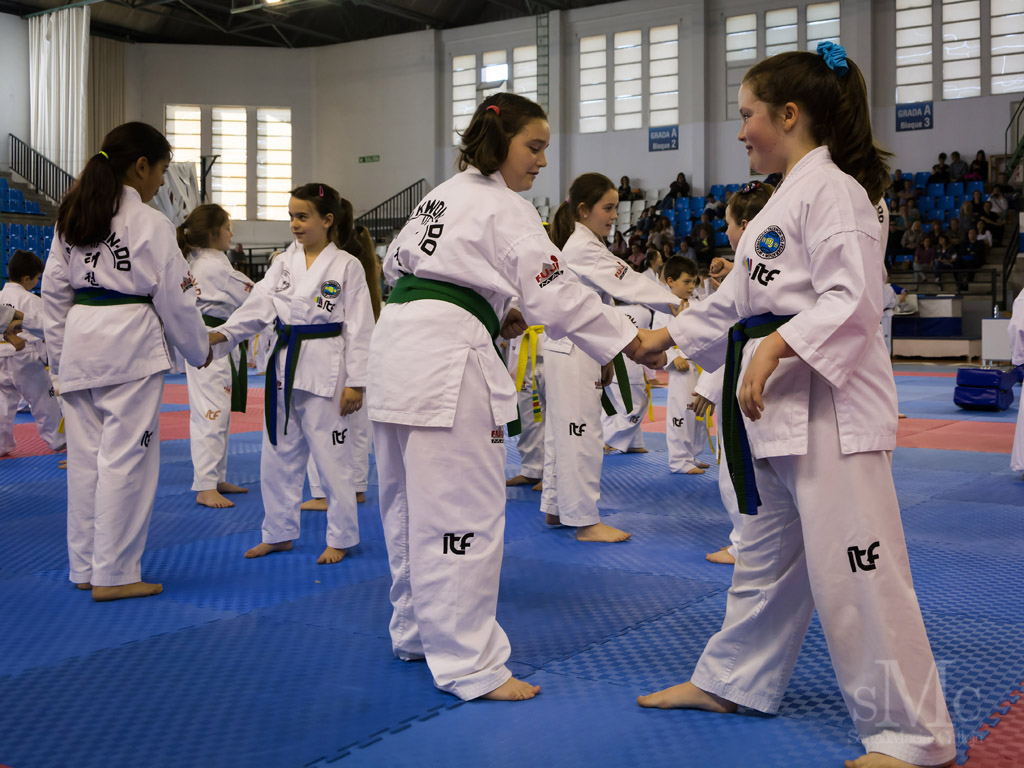 DIA DEL TAEKWONDO ABRIL 2017_3992.JPG
